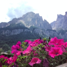 Blumen und Berge in den Dolomiten