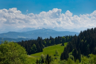 Idyllische Frühlingslandschaft mit grünen Wiesen in Bregenz, Österreich