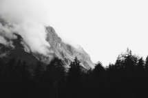grayscale photograph of forest and mountain