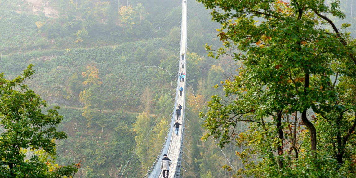 Hängebrücke aus Holz mit Stahlseilen über einen dichten Wald in Westdeutschland
