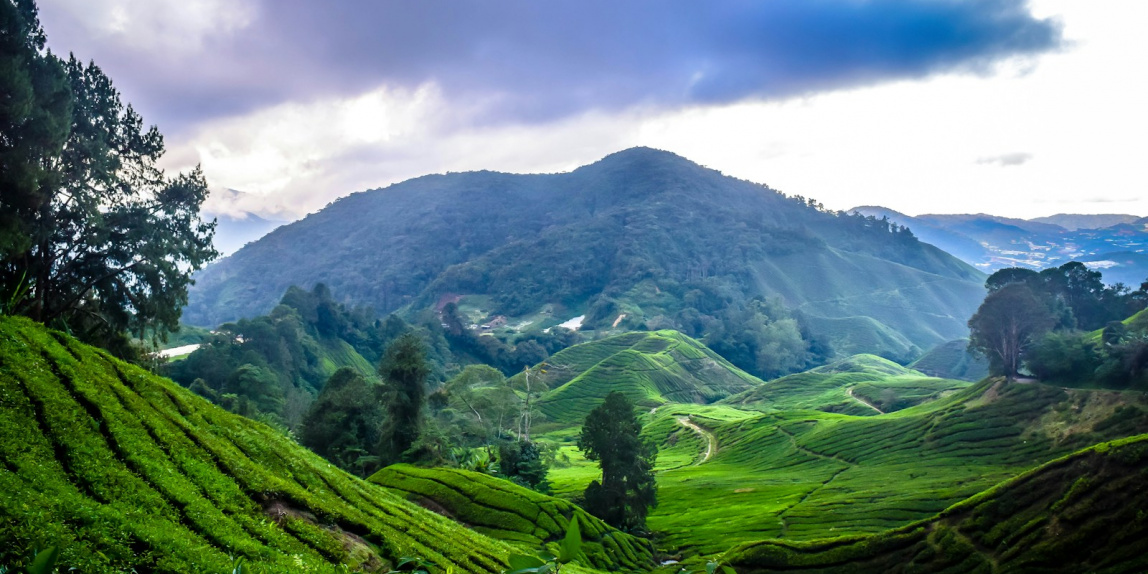 green grass field near mountain under white clouds during daytime