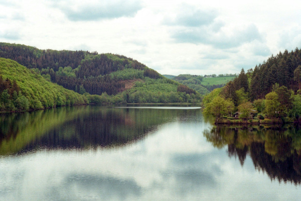 green trees near lake under white clouds during daytime