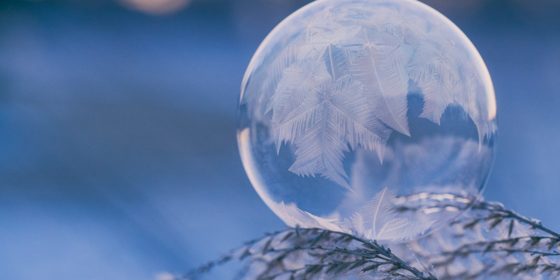 shallow focus photography of bubble on leaves