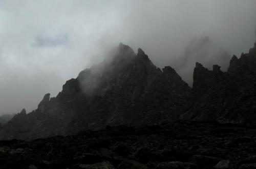 Graustufenfoto eines nebligen Berges