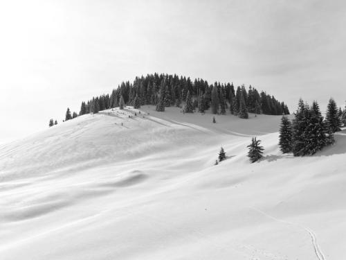 ein schneebedeckter Berg mit Bäumen auf dem Gipfel, Schwarzweißfoto 